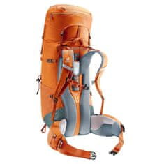 Deuter Nahrbtniki Aircontact