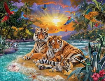 NORIMPEX Diamantna slika Tiger family 30x40cm