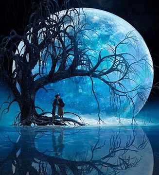 NORIMPEX Diamantna slika Luna nad jezerom 30x40cm