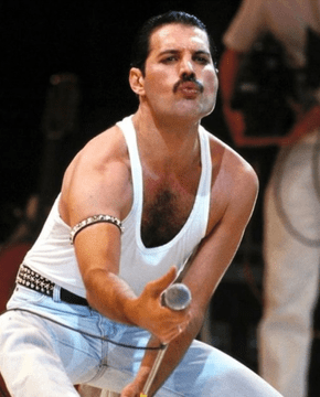 NORIMPEX Diamantna slika Freddie Mercury 30x40cm
