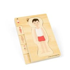 Bigjigs Toys Lesena sestavljanka Anatomija deček