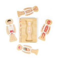 Bigjigs Toys Lesena sestavljanka Anatomija deček