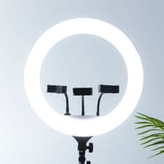 MG Ring Lamp Selfie krožka LED svetloba + statív 2.1m, črna
