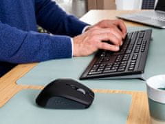 Cherry Stream Desktop Comfort tipkovnica in miška, SLO, črna (JD-8550GB-2)