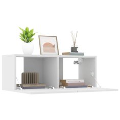 Vidaxl TV omarica 2 kosa bela 80x30x30 inženirski les