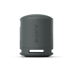 Sony Bluetooth zvočnik SRS-XB100, črn