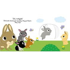 shumee Wise Child Academy - Dobro jutro, zajček! Prve pravljice