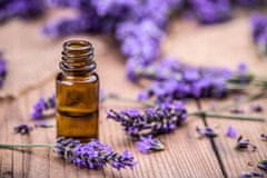 shumee Dišeče olje Lilia 10 ml za aromaterapijo za sprostitev v savni in kopeli