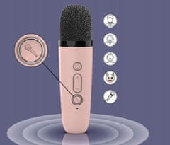 shumee PRENOSNI KARAOKE KOMPLET Z ZVOČNIKI IN MIKROFONI, RAZLIČNI GLASOVI ZA OTROKE, LED