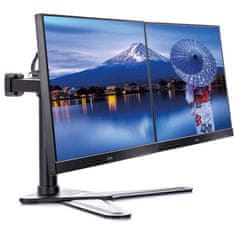 iiyama DS1002D-B1 za 2 monitorja do 30'' namizni nosilec