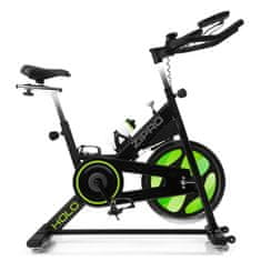 Zipro Spinning kolo Holo 2