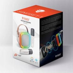 Dexxer Aku. 1200mAh karaoke zvočnik Bluetooth 5.3 2x mikrofon LED RGB