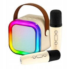 Dexxer Aku. 1200mAh karaoke zvočnik Bluetooth 5.3 2x mikrofon LED RGB
