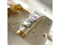 Jeanne En Provence Jeanne en Provence - Lavande Gourmande Vlažilna krema za roke z vonjem sivke 75ml