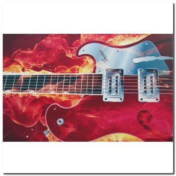 shumee CR3108SB FIRE MUSIC SKATEBOARD NILS EXTREME