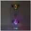 shumee PENNYBOARD LED PROZOREN NILS EXTREME