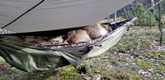 shumee Termo odeja Bushmen viseča mreža podloga bivy cover