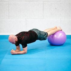 shumee YB03 NOVA GIMNASTIČNA MASAŽNA ŽOGA 55CM VIOLET HMS