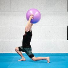 shumee YB03 NOVA GIMNASTIČNA MASAŽNA ŽOGA 55CM VIOLET HMS