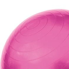 shumee YB01 NOVA GIMNASTIČNA ŽOGA 55CM ROZA HMS