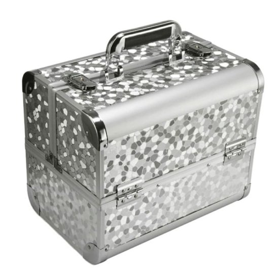 WOWO Kozmetični kovček / organizator - Kovček 30,5x20,5x25cm srebrn