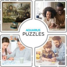 Aquarius Gospodar prstanov Puzzle 3000 kosov