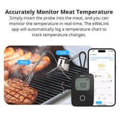 Sonoff Termometer za meso BMT01