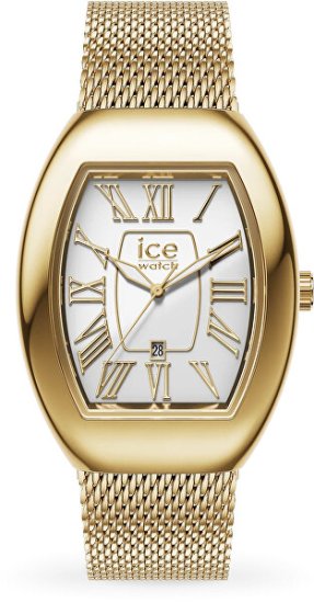 Ice-Boliday Dome 024487