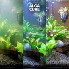 Smania Čistilo za akvarij AlgaCure