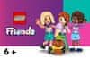 LEGO® Friends