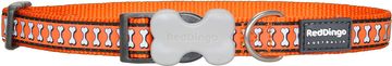 Red Dingo Odsevna ovratnica oranžna