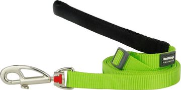 Red Dingo Najlonski povodec svetlo zelen