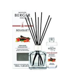 Maison Berger Paris Darilni set aroma difuzor Cube + polnilo Woodland Fairy 100 ml