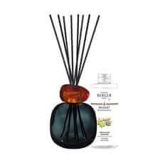Maison Berger Paris Darilni set aroma difuzor Mineral Black + polnilo Wilderness 180 ml