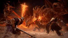 Namco Bandai Games Elden Ring Nightreign - Collectors Edition igra (PS4)