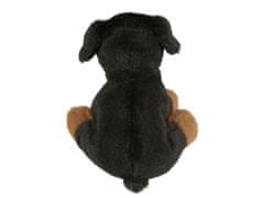 Charlie Bears Charlie Bears Komplet treh maskote iz serije Cuddle Cubs: pes, volk, ris - plišasti, kot nalašč za dojenčke, 13 cm