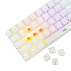 Baracuda tipkovnica USB bela/rdeča mehanska stikala gaming BGK-03211 DOLPHI