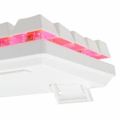 Baracuda tipkovnica USB bela/rdeča mehanska stikala gaming BGK-03211 DOLPHI