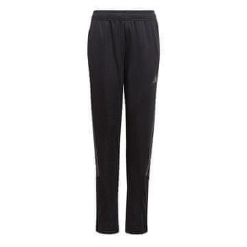 Adidas Hlače črna Tiro Trackpant