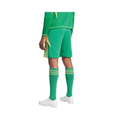 Adidas Hlače zelena 182 - 187 cm/XL Tiro 24