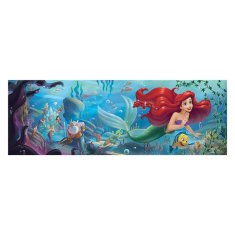 Clementoni Puzzle Panorama: 1000 kosov