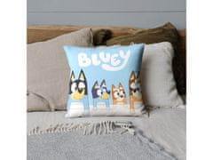 sarcia.eu Bluey Modra obojestranska kvadratna blazina, Dekorativna blazina, 40x40 cm, OEKO-TEX 
