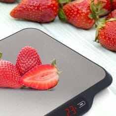 ILSA Profesionalna digitalna kuhinjska tehtnica 2g-30kg / siva / inox, abs