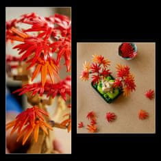 LEGO Botanicals 10348 Bonsaj japonski rdeči javor