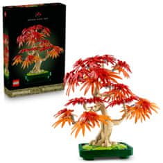 Botanicals 10348 Bonsaj japonski rdeči javor