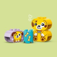 LEGO DUPLO 10441 Razvrščanje oblik: Psičkova uta