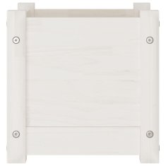 Vidaxl Vrtno cvetlično korito belo 31x31x31 cm trdna borovina