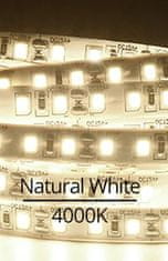 Vivalux LED trak 2835 18W/m 4000K 120leds/m 12V IP20 5m