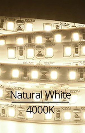 Vivalux LED trak 2835 18W/m 4000K 120leds/m 12V IP20 5m