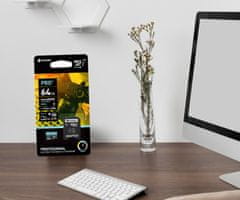 Platinet PLATINET PMMSDX64UI microSD kartica, 64GB, 70MB/s, class10, UHS-I, +adapter